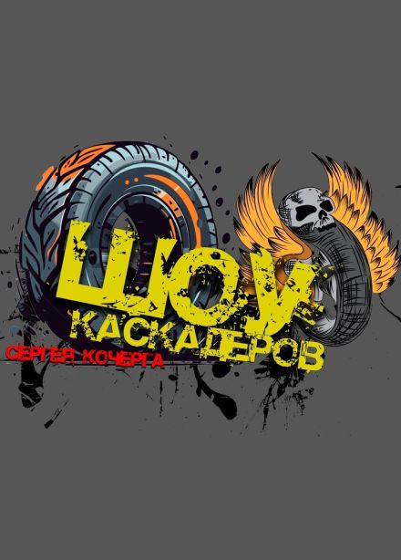 Шоу каскадеров