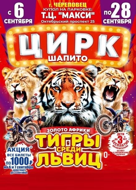 Цирк-шапито «Золото Африки»